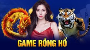 rồng hổ winbet